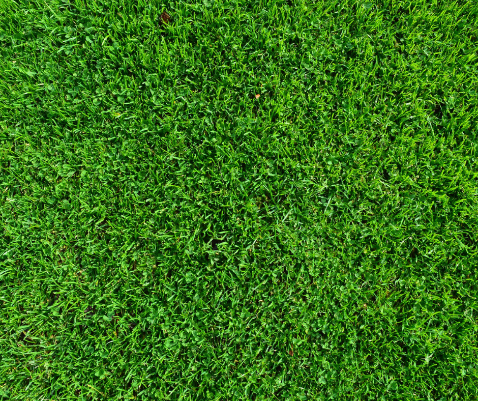 RV Artificial Turf