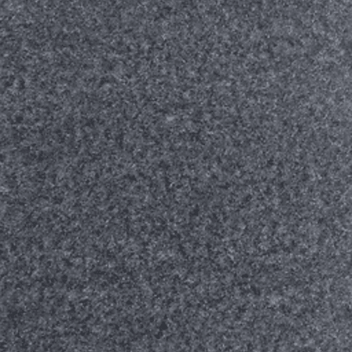 Marine Grade Solid Carpet - The Port Collection