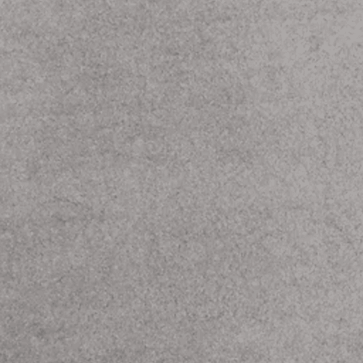Tan colored boat carpet
