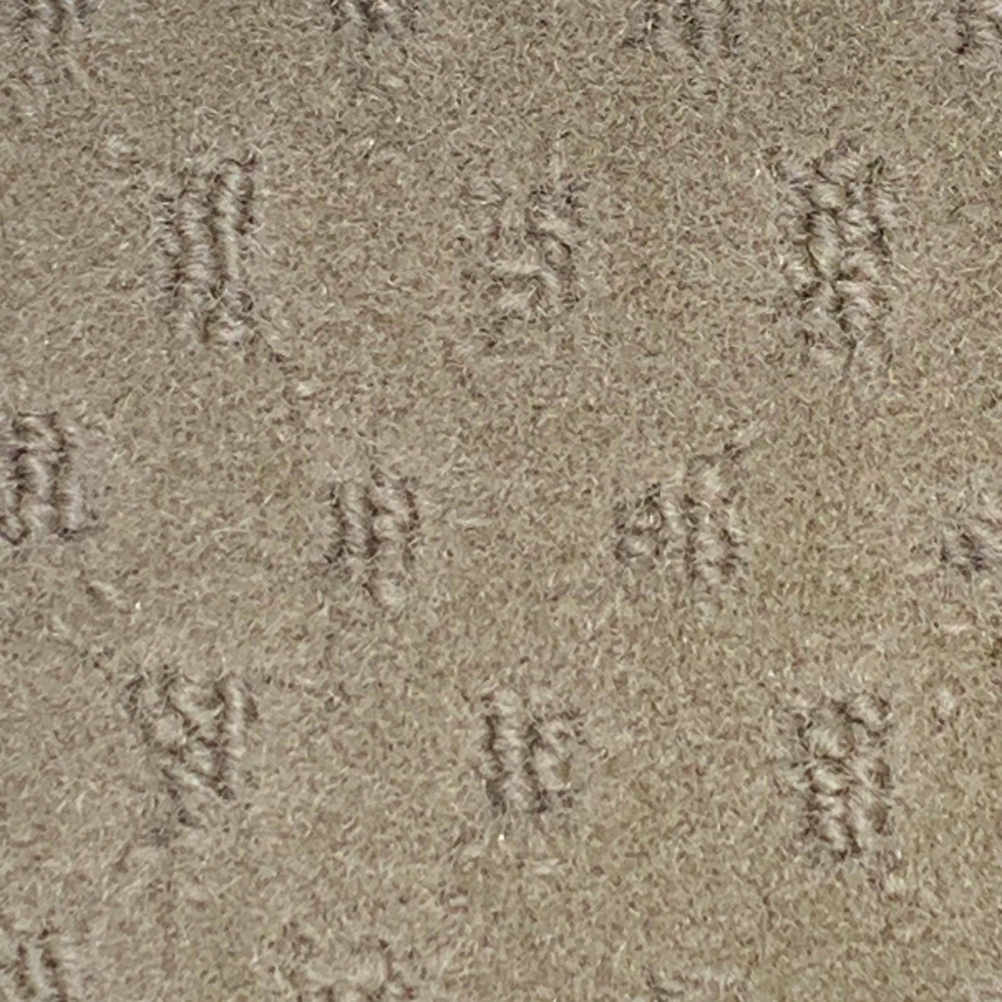 tan colored marine carpet