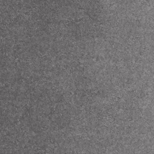 Grey colored boat carpet