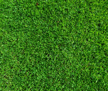 RV Artificial Turf