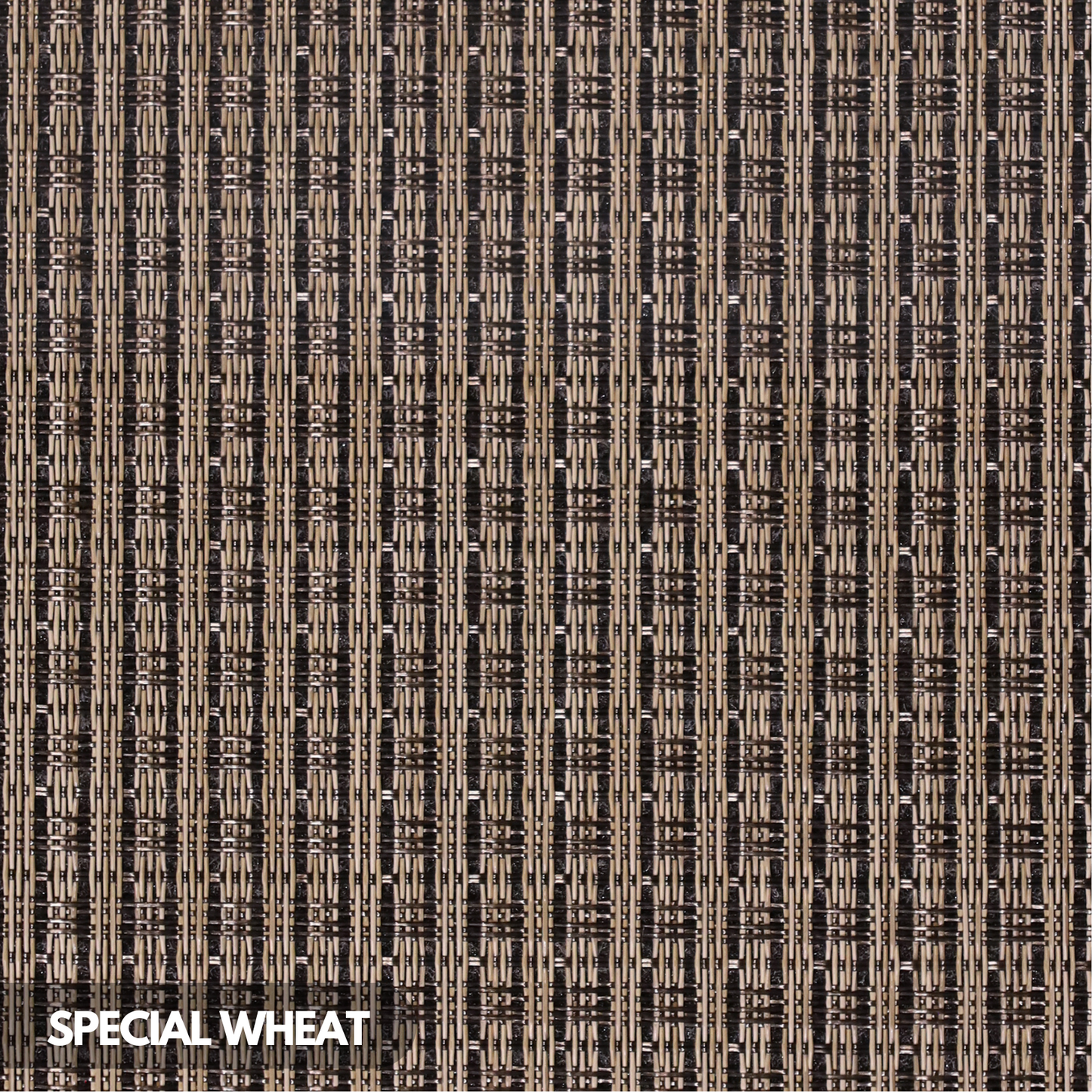 Samples - $19.99 Closeouts