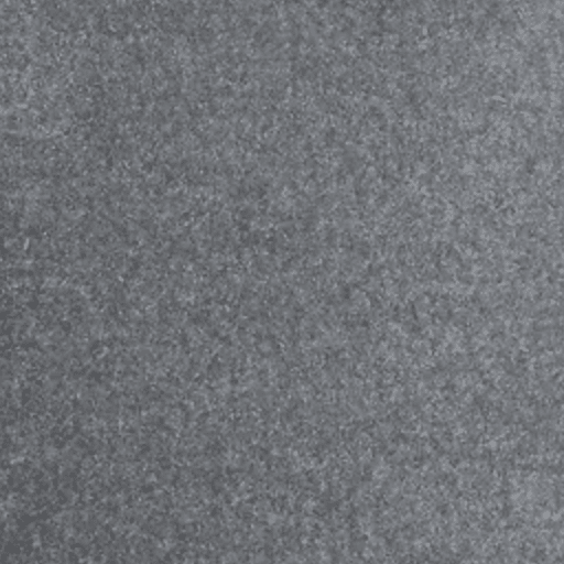 grey colored marine carpet