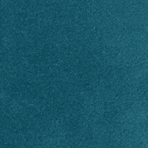 teal colored marine carpet